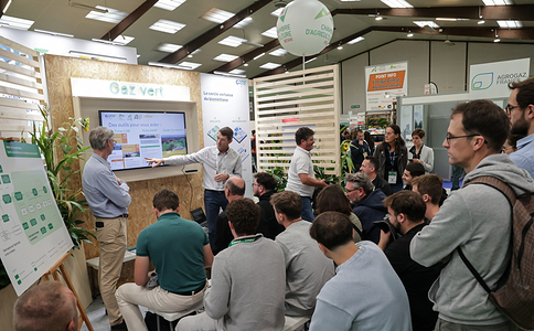 法国雷恩畜牧展览会