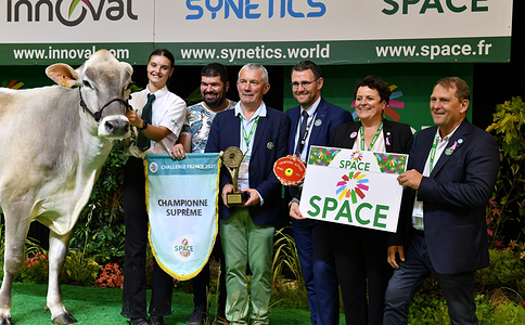 法国雷恩畜牧展览会