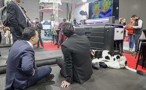 法国雷恩畜牧展览会