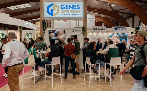 法国雷恩畜牧展览会