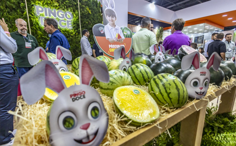 巴西圣保罗果蔬展览会