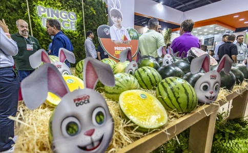 巴西圣保罗果蔬展览会Fruit Attraction São Paulo(现场照片)3