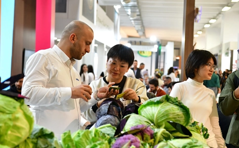 土耳其农业展览会GROWTECH(现场照片)7